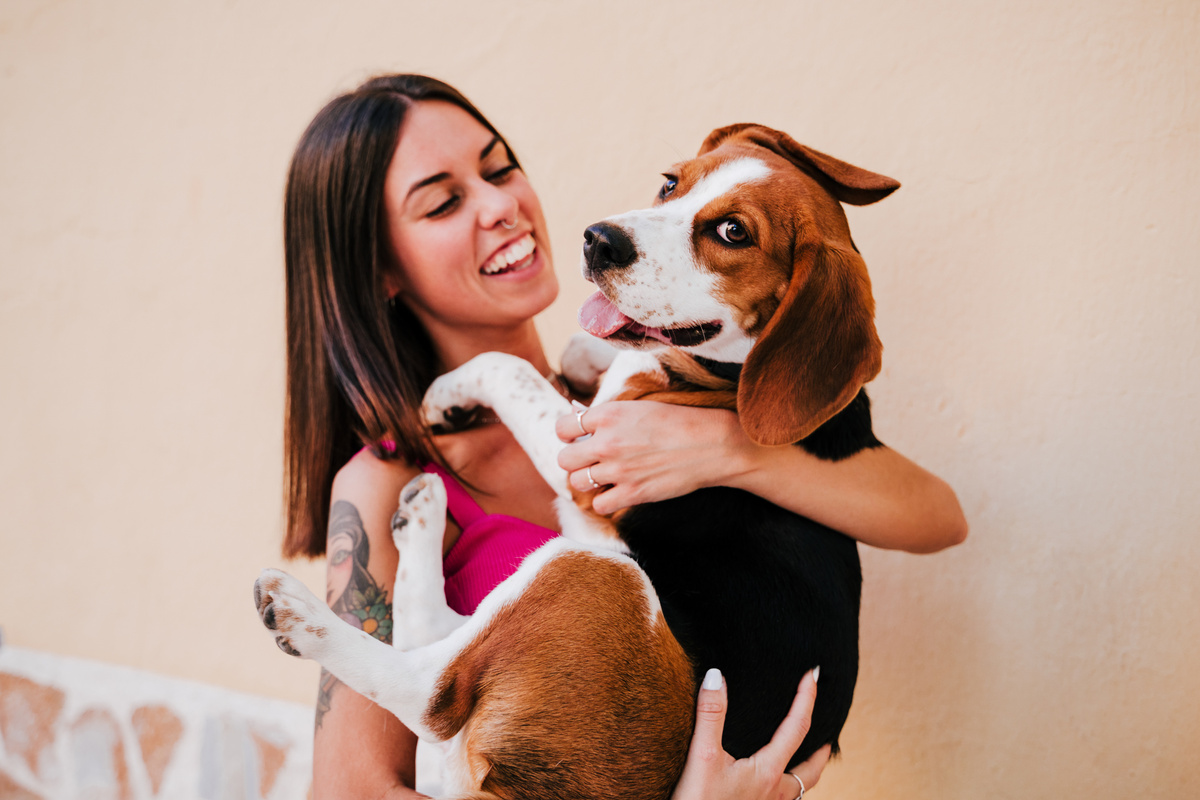 Young Woman Carrying Pet Beagle 